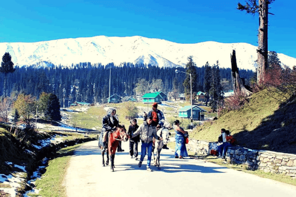 Kashmir Tour
