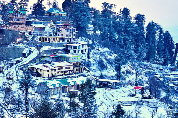 Shimla Manali Tour