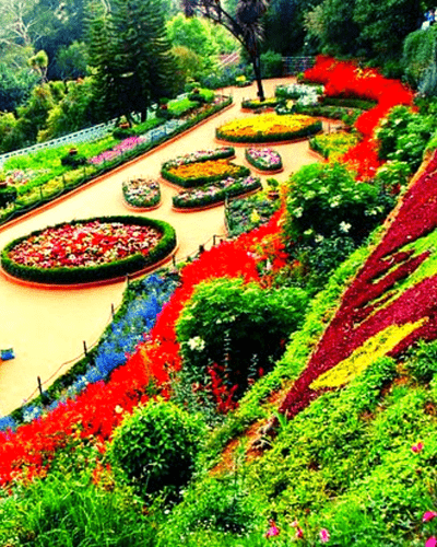 Botanical Garden Ooty