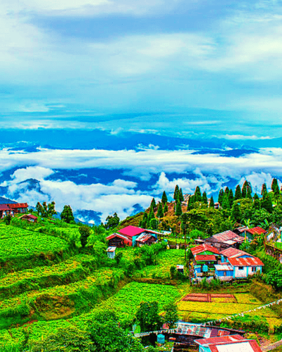 Sightseeing Darjeeling