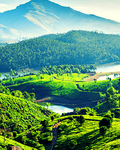 Munnar Local Sightseeing