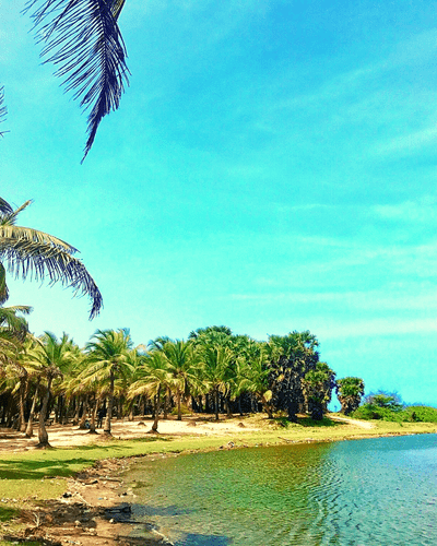 Paradise Beach Pondicherry