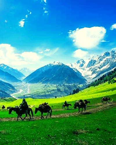 Local Sightseeing Sonamarg