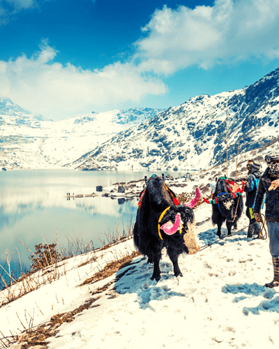Tsomgo Lake Sikkim